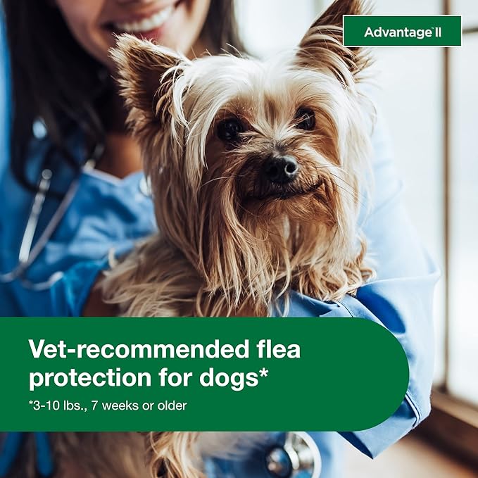 Advantage II Small Dog, 4 pack