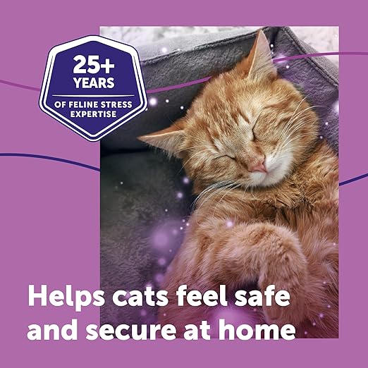 FELIWAY Classic 30 Day Cat Calming Plug In Pheromone Diffuser Starter Kit, 48ml - Helps Reduce Common Signs of Stress in Cats & Kittens, Enhanced Calming