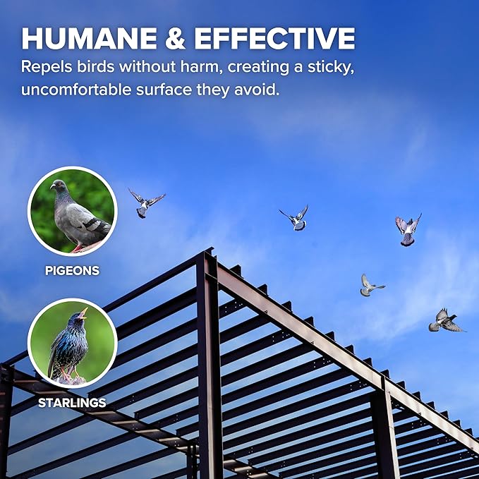 Bird B Gone - Transparent Bird Gel - Bird Repellent Gel (12 Pack), Pigeon Deterrent for Balcony, Bird Deterrents for Outside, Bird Repellent Devices Outdoor, Bird Proof Gel for Pigeons Starlings