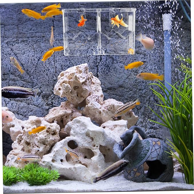 FRCOLOR 1pc Juvenile Fish Breeding Box Dual Isolation Tank Lightweight Plastic Aquarium Breeder High Transparency for Safe Fish Hatching and Separation
