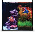 Ultum Nature Systems Dual AIO - Freshwater/Saltwater Compatible All in One Rimless Tank with Triple Chamber Filtration System, Integrated Filter Aquarium w/Leveling Mat - 7 Gallon, 30A, Black
