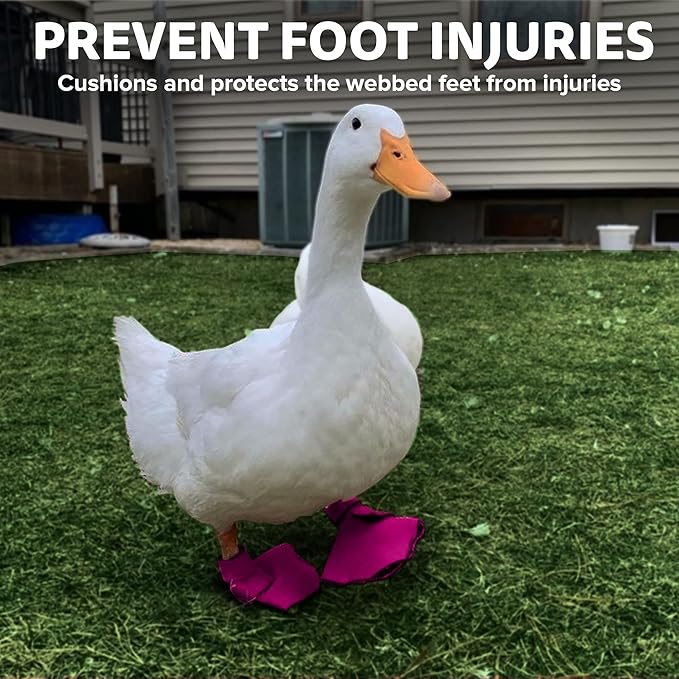 Duck Shoes for Injured Feet – Protective Neoprene Footwear for Ducks, Protective Shoes for Birds with Injured feet, Bumblefoot Relief - Large, 4.5” Max. Inside Width - Pink