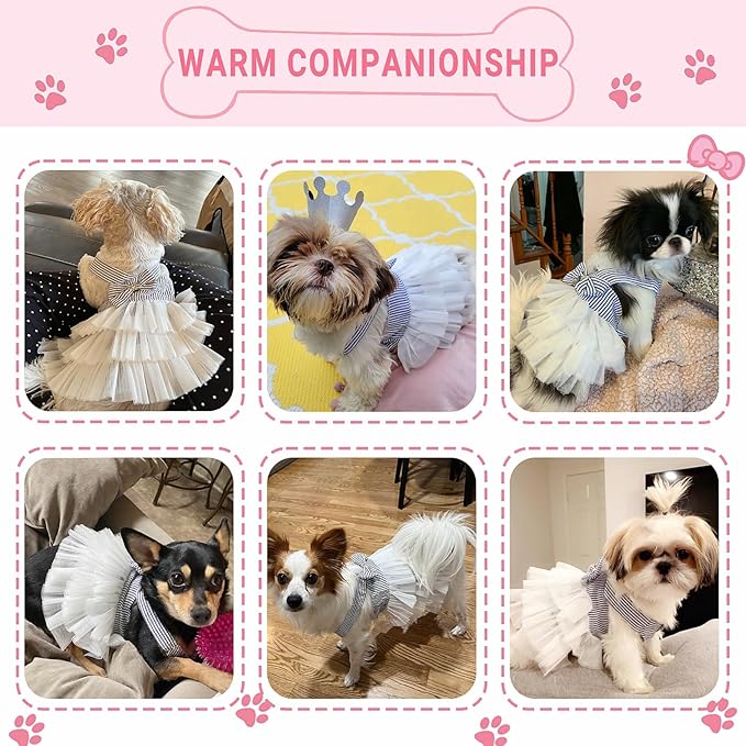 Dog Dresses, Fashion Pet Dog Clothes, Striped Mesh Puppy Dogs Princess Dresses (Blue, Medium)