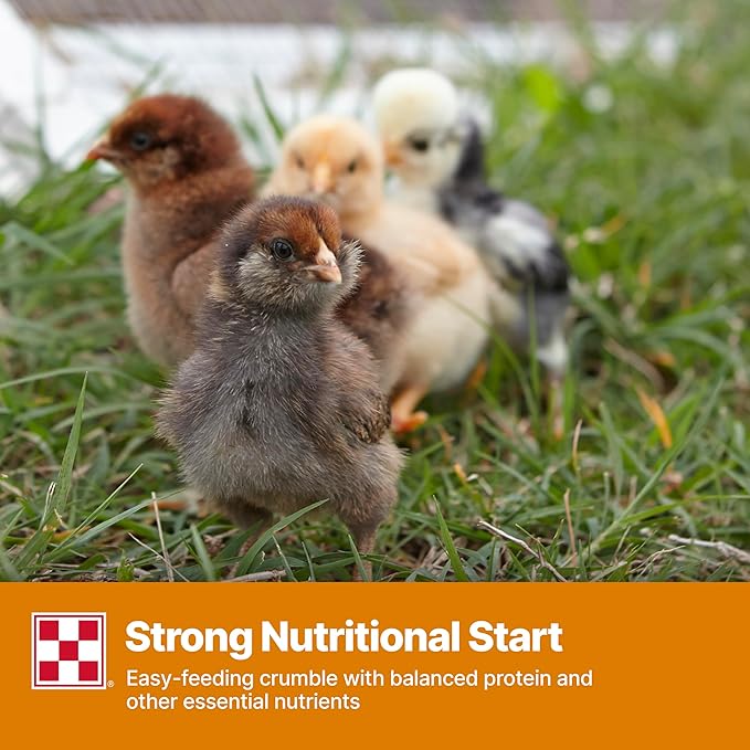 Purina Start and Grow | Non-Medicated Chick Feed Crumbles | Nutritionally Complete - 5 Pound (5 lb) Bag