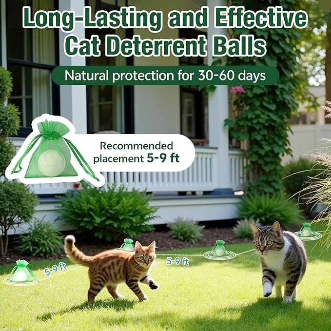 Cat Repellent Outdoor & Indoor, Cat Deterrent Outdoor Indoor, Natural Grapefruit Oil Keep Cats Out of Yard Permanently, Keep Cats Away from Garden, Furniture, and More, 10 PCS (Pack of 1)
