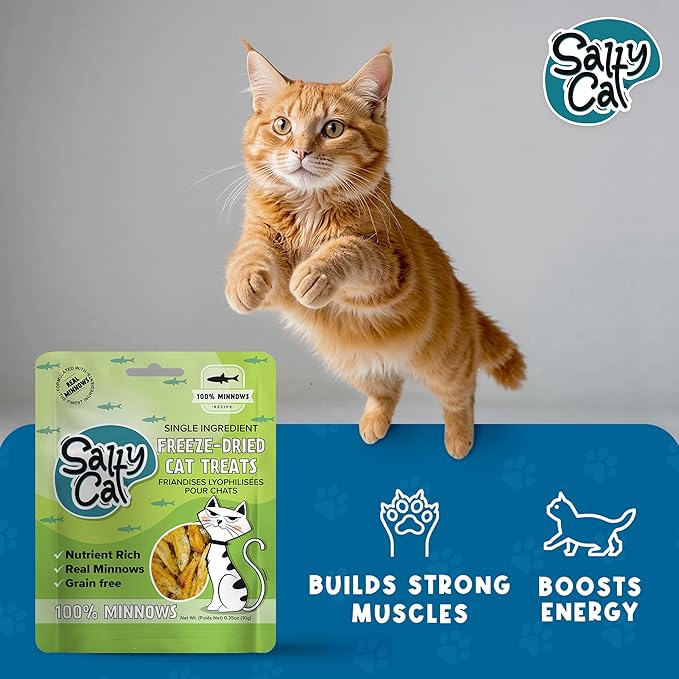 Salty Cat 100% Natural Freeze-Dried Minnows Cat Treats, 10g (12 Pack)