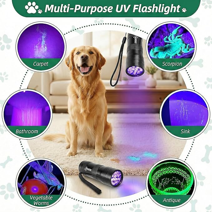 ESCO LITE 2 Packs Black Light Flashlight, 12LED 395nm UV Handheld Black Light Mini Flashlight, Dogs Urine Detector for Dry Urine Stains, Bed Bugs, Scorpions