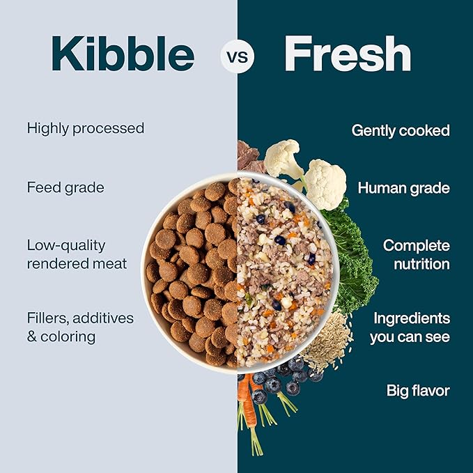 JustFoodForDogs Pantry Fresh Wet Dog Food, Complete Meal or Dog Food Topper, Lamb & Brown Rice Human Grade Dog Food Recipe - 12.5 oz (Pack of 12)