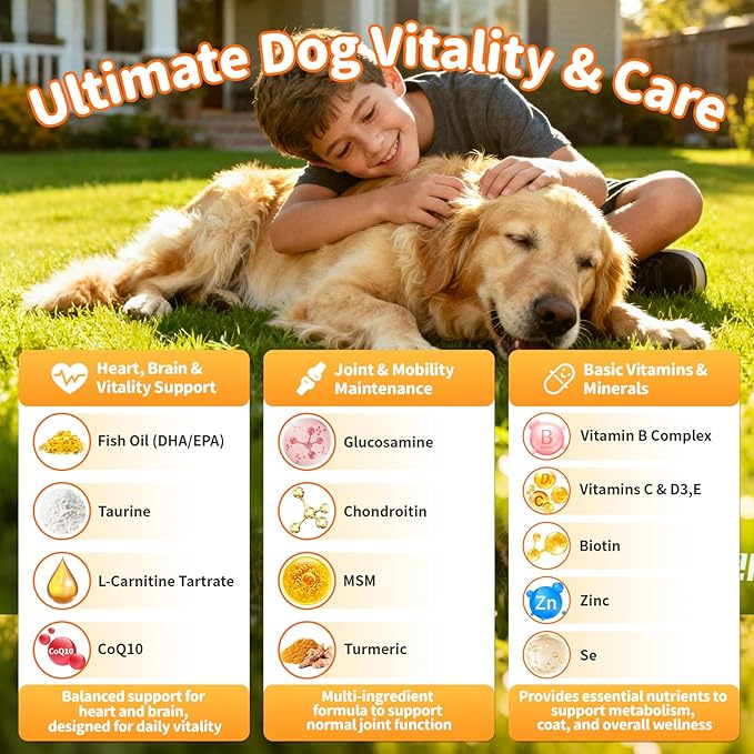 25-in-1 Dog Multivitamin Chews – All-in-One Daily Vitamins & Supplements for Dogs, Joint Support with Glucosamine MSM, Omega-3 Skin & Coat, Gut, Heart & Brain, All Breeds & Ages, Beef, 90Ct