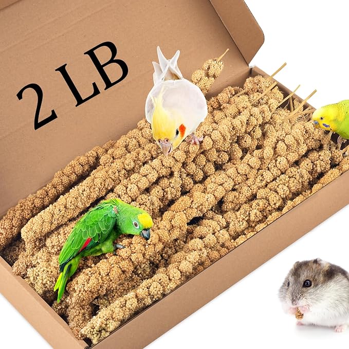 KATUMO 2LB Spray Millet Treat for Pet Birds, Natual Sun-Dried Bird Millet Parrot Food for Parakeet Budgie Cockatiel Finches Lovebird Conure Parrots Hamster