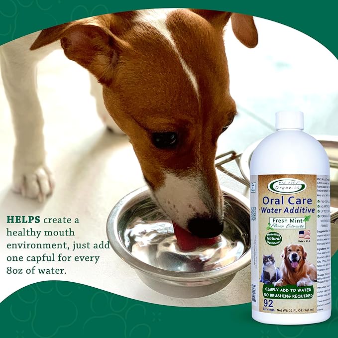 Oral Care Water Additive for Cats & Dogs – Gentle Dental Support – Reduces Breath Odors, Promotes Gum Health – No Brushing – Convenient for Daily Use, Fresh Mint Flavor, 32 FL oz