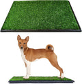 Downtown Pet Supply Dog Grass Pad with Tray, 20 x 25 - Outdoor and Indoor Potty System for Dogs with Replaceable Synthetic Grass Pee Turf - Portable and Waterproof Turf Dog Potty
