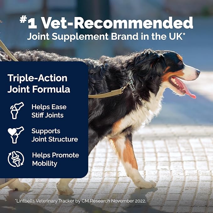 YuMOVE Hip & Joint Supplement for Dogs - Clinically Proven Glucosamine, Green Lipped Mussel , Hyaluronic Acid & Omega 3 Supports Mobility, Flexibility & Joint Comfort - 60 Chews (Large/XL Dogs)