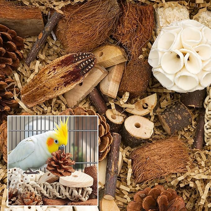 Parrot Toys for Large Bird Toys Natural Bird Foraging Box for Parakeets,Cockatiels,Conures,Love Birds