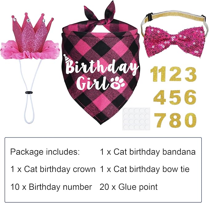 Cat Birthday Party Supplies - Cat Outfits Kitten Bandanas with Hat, Crown, Bow Tie, Number for Kitten Decorations (Rose)