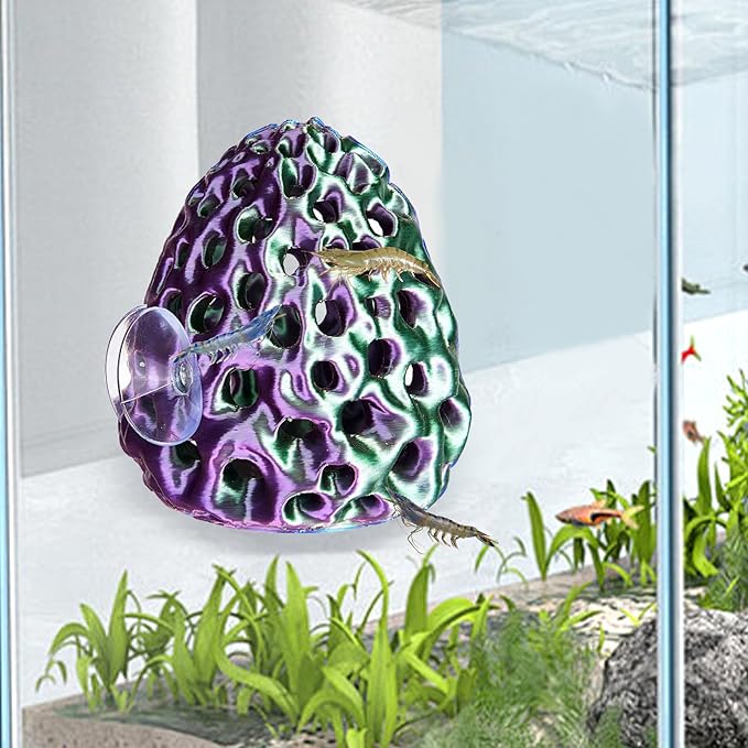 Shrimp Dome Hide, Shrimp Hides for Aquarium, Betta Fish Hideout with Suction Cup, Betta Habitat Tank Ornament Accessories, Aquarium Decor for Small Fish Guppy Hiding Resting (Lid Green Purple)