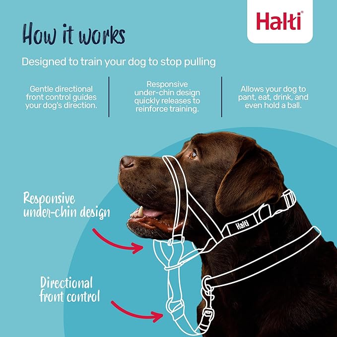 Halti Headcollar - Stop Your Dog Pulling on the Leash. Adjustable, Reflective and Lightweight, with Padded Nose Band. Dog Training Anti-Pull Collar for Medium Dogs (Size 3, Red)