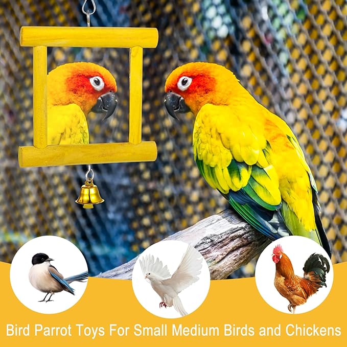 Chicken Toys - 1pc Hanging Bell Parrot Chicken Swing Mirror + 2pcs Beak Grinding Stones for Enrichment, Perfect for Coop, Birds, Parrots, Hens, Roosters, and More