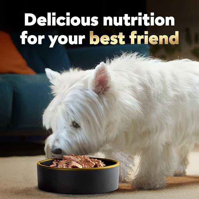 Cesar Loaf in Sauce Wet Dog Food Rotisserie Chicken, Filet Mignon, Angus Beef, and Ham & Egg Flavors Variety Pack, 3.5 oz. Easy Peel Trays (24 Count, Pack of 1)