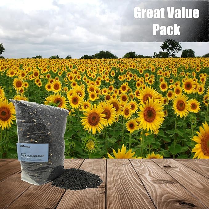 Old Potters Wildlife Black Oil Sunflower Seeds for Birds and Wildlife, Non-GMO & USA Grown on Small Farms (6 lbs)