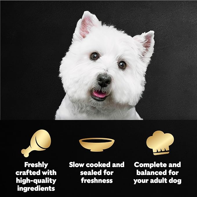 Cesar Filets in Gravy Wet Dog Food Wood-Grilled Chicken, Wet Food for Dogs, 1.76 oz. Mini-Pouches, 20 Count