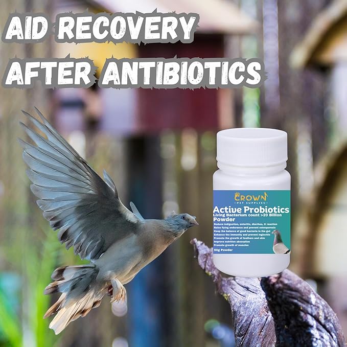 Probiotic Powder for Pigeons – 20 Billion CFU with Beneficial Bacteria – Supports Gut Health, Digestive Balance, Nutrient Absorption, Endurance & Feather Growth 50g