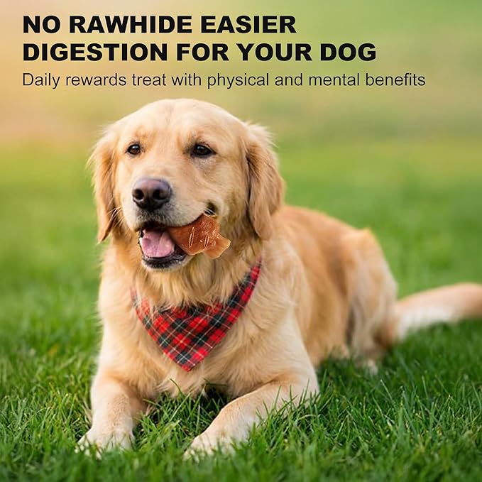 PETPHABET Rawhide Free Dog Chew Bones - Grilled Pork Hock Dog Chews for Small Medium Breeds, Healthy Puppy Treats for Training & Teething, Made with Real Chicken, Natural Smoky Flavor, 12 Count