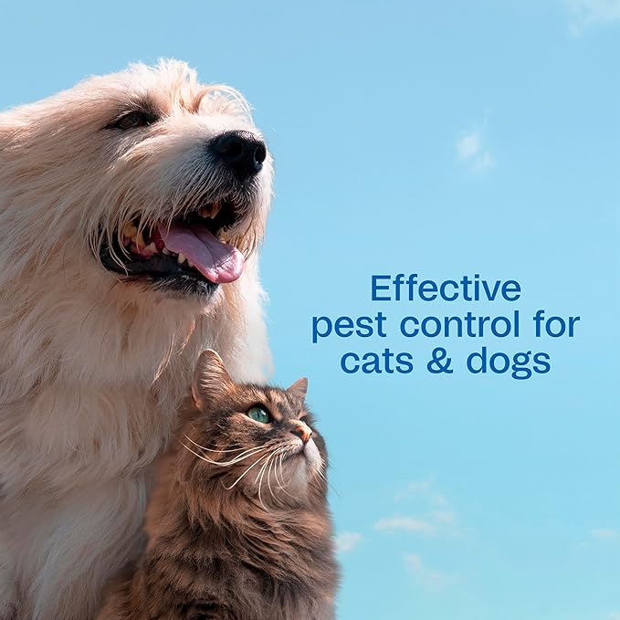 ADAMS Plus Flea & Tick Shampoo with Precor for Dogs, Cats, Puppies & Kittens, Flea Shampoo to Treat Flea Infestations, Kills Ticks, Fleas, Flea Eggs & Lice, Cleans and Conditions Coat, 1 Gallon