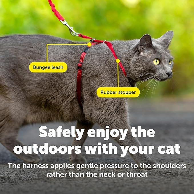 PetSafe Come With Me Kitty Cat Harness & Bungee Leash - Comfortable Cat Harness with Lightweight Bungee Leash for Outdoor Fun - More Secure Walks - Small - Red