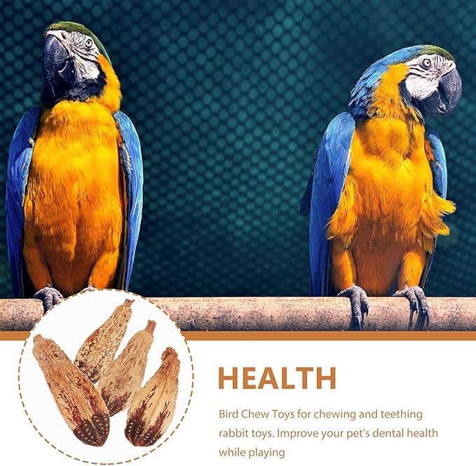 4pcs Natural Parrot Foraging Bird Chewing Fun Safe Chew Treats for Cage Birds Cockatiels Macaws African Greys Budgies