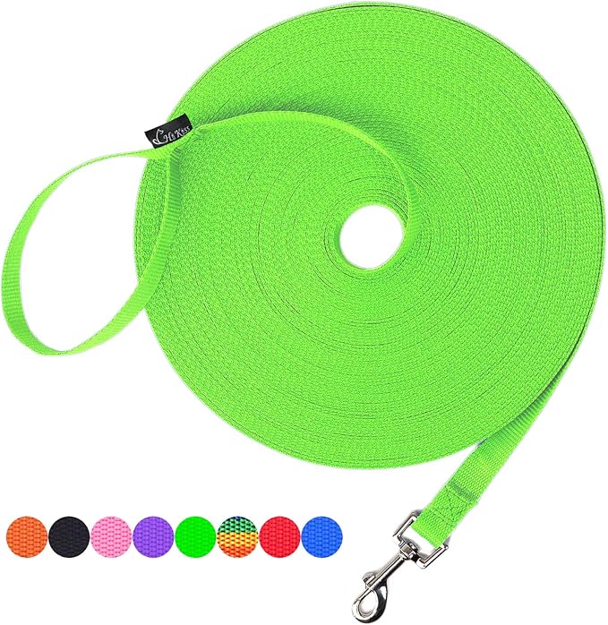 Hi Kiss Dog/Puppy Obedience Recall Training Agility Lead - 15ft 20ft 30ft 50ft 100ft Training Leash - Great for Training, Play, Camping, or Backyard (30 Feet, Green)