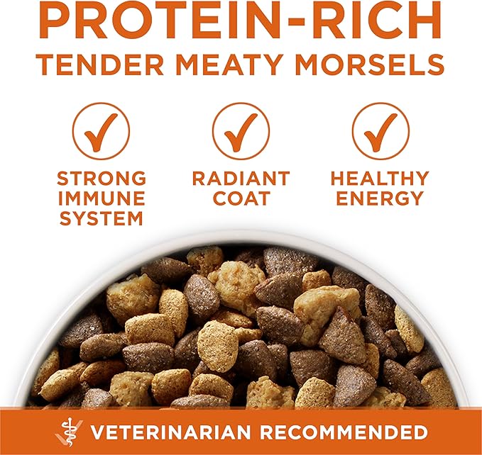 Purina ONE Plus Healthy Weight High-Protein Dog Food Dry Formula - 31.1 lb. Bag