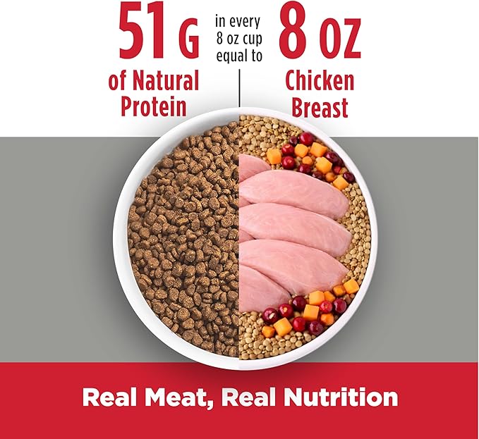 Nulo Freestyle Cat & Kitten Dry Food - Chicken & Cod Recipe, High Protein Grain Free Cat Food, Natural Kibble with Probiotics & Omega Fatty Acids, 2lb Bag