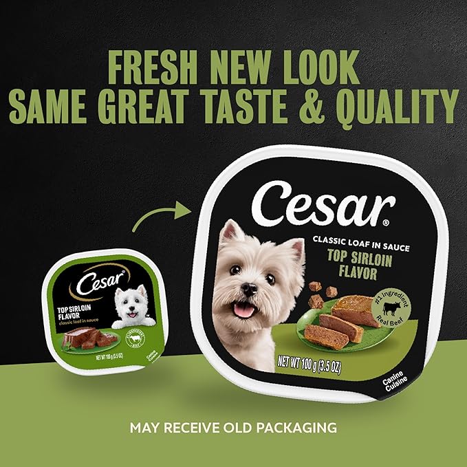 Cesar Classic Loaf in Sauce Adult Wet Dog Food Top Sirloin Flavor, 3.5 oz. Easy Peel Trays, 24 Count (Pack of 1)