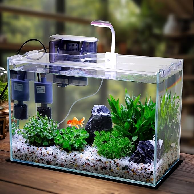 5 Gallon Glass Small Fish Tank with Filter Light and Lid, Betta Aquarium Starter Kits