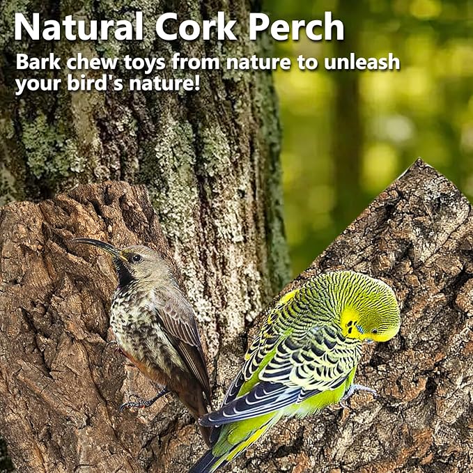 Cork Bark Perch for Birds 16"X12" Natural Cork Chewing Toy 2 PCS Flat Budgies Bark Seat Board Wood Bark Background Decor Panel Birdcage Accessories for Parakeet Lovebirds Cockatiels Conures