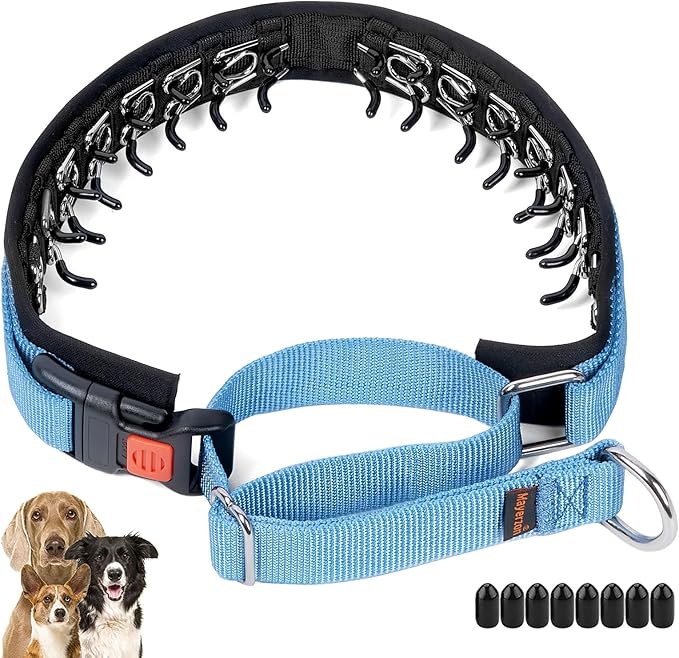 Mayerzon No Pull Dog Collar, Patented Martingale Collar for Small Medium Large Dogs with Buckle and Heavy Duty Nylon for Walking Training Hunting, Safe and Easy to Use(S, Blue)