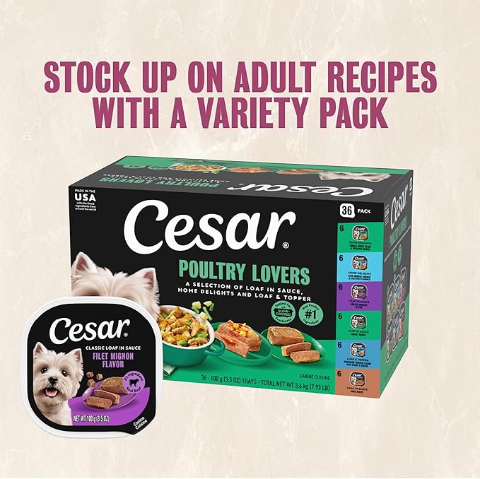 Cesar Adult Wet Dog Food Steak Lovers Variety Pack with Real Meat, 3.5 oz. Easy Peel Trays, 36 Count (Pack of 1)