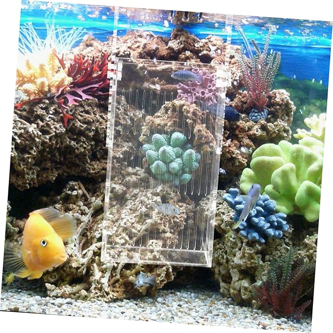 Breeding Box for Fish Tank Acrylic Isolation Container with View for Safe Fish Hatching Prevents Adult Easy to Clean for Breeding