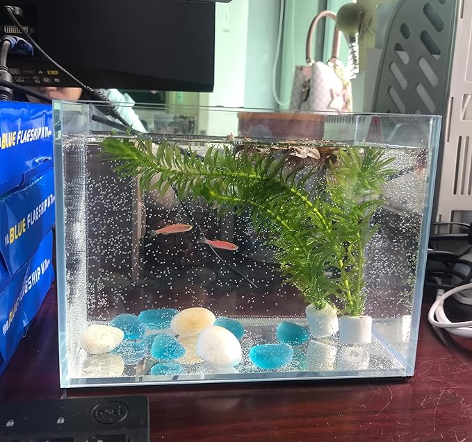 Small Nano Rimless Tank, Clear Glass Fish Tank, 1.1 Gallon, 7.8x5.5x5.9inch/20x14x15cm, Betta Fish Tank