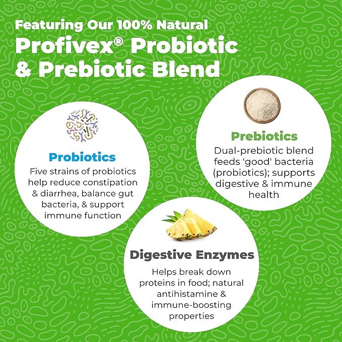 Vetnique Glandex Daily Probiotics for Dogs with Prebiotics to Support Gut Health with Fiber and Digestive Enzymes, Dog Probiotic Chews or Powders (30ct Chews, Bacon Chews)
