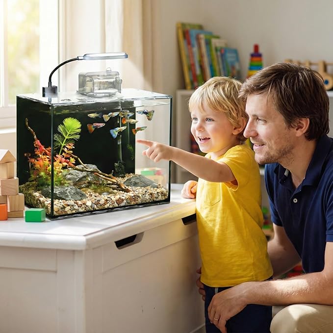 2 Gallon Glass Fish Tank with Filter LED Light Complete Aquarium Starter Kit for Betta, Shrimp, Nano Fish Rimless Small Aquarium with Everything Included