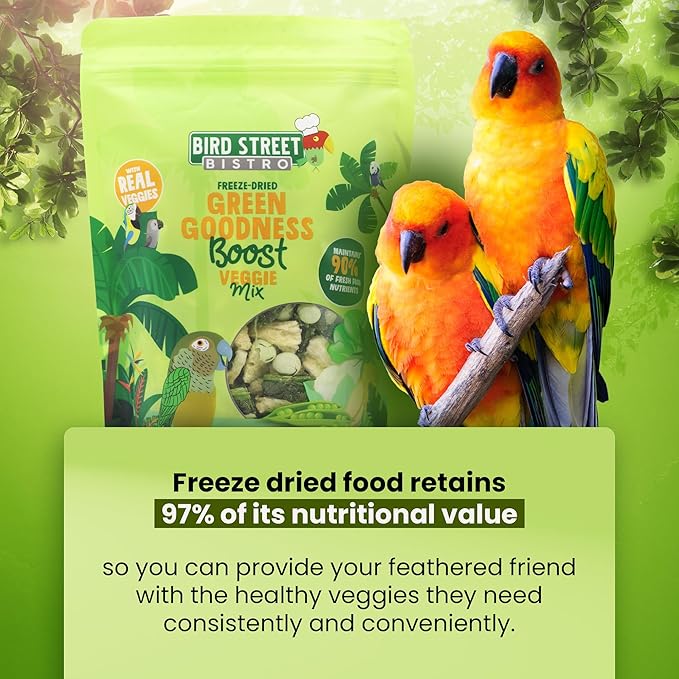 Bird Treats - Parrot Treats - Cockatiel Food - Parakeet Treats - Conure Bird Food - Cockatiel Treats - Sun Conure Food - Cockatiel Bird Food - Parakeet Bird Food - Parrot Treats (Green Goodness)