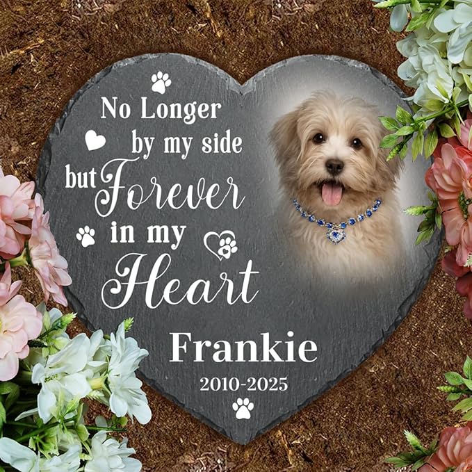 Alienc Personalized Pet Memorial Stone – Custom Dog & Cat Memorial Gifts for Loss, Outdoor Pet Grave Marker, Sympathy Keepsake for Dogs and Cats