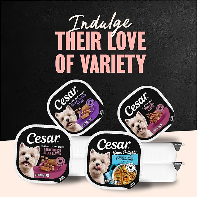Cesar Classic Loaf in Sauce Adult Wet Dog Food Chicken and Liver Recipe, 3.5 oz. Easy Peel Trays, 24 Count (Pack of 1)