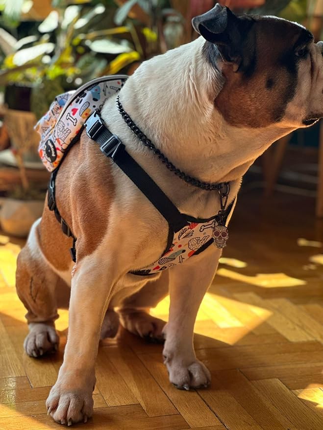 PawLook Dog Backpack to Wear with Chest Harness Self Carrier dogbag with Additional Pocket for Poop Bag Anti Slip Stylish Dog Bag for Your pet Street Smart Serie White Bone Small