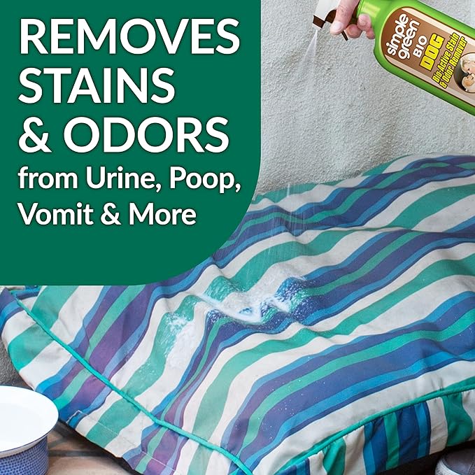 Simple Green Bio Active Stain & Odor Remover for Pet & Carpet- Pet & People Safe (1 Gal), Milky White, 128 Fl Oz (Pack of 2)