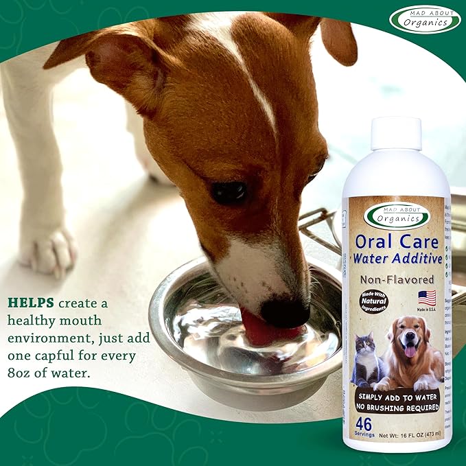 Oral Care Water Additive for Cats & Dogs – Gentle Dental Support – Reduces Breath Odors, Promotes Gum Health – No Brushing – Convenient for Daily Use, Non-Flavored, 16 FL oz