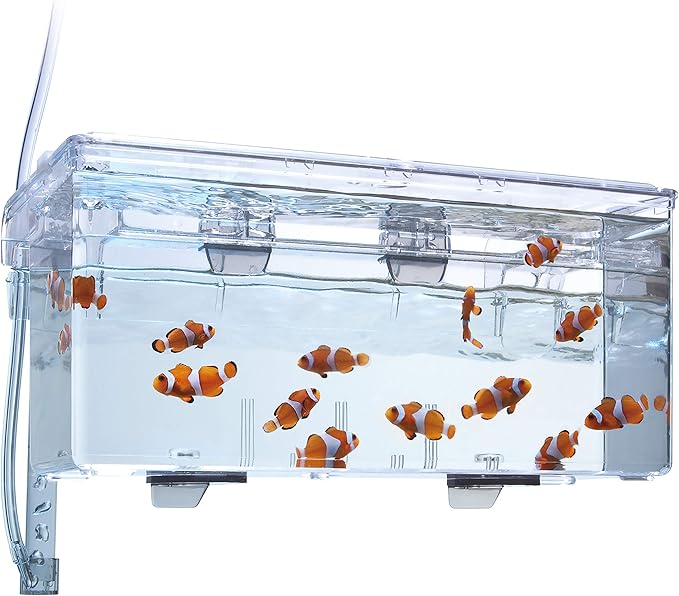 Fluval Multi-Chamber Holding and Breeding Box, Large – Up to 3 Separate Housing Compartments (Pack of 6)