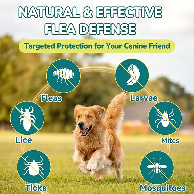 Cat & Dog Flea and Tick Prevention Bundle, 500 Crunchy Dual-Texture Chews Each, Natural 4-in-1 Flea Defense with Skin, Coat, Gut & Immune Support, Oral Daily Flea Treatment for Cats & Dogs